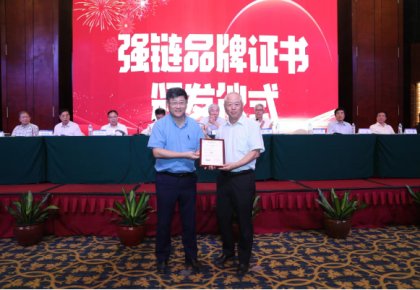 登榜！海德威入選首批船舶工業(yè)“強鏈品牌”